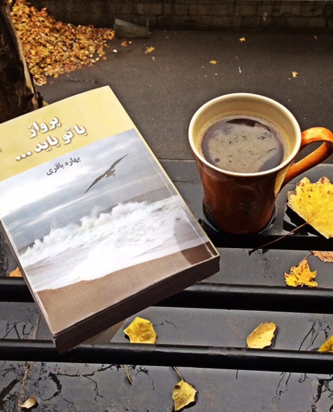 پرواز با تو بايد.../ بهاره باقرى